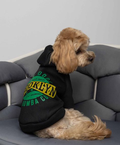 Толстовка Brooklyn чорна Y-342