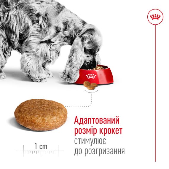 Корм Royal Canin Medium Adult сухий для дорослих собак середніх порід 4 кг | Зображення 3