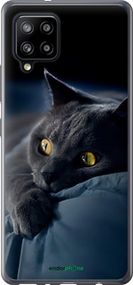 Чохол на Samsung Galaxy A42 A426B Димчастий кіт "825u-2098-2448"