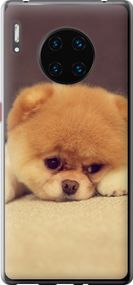 Чехол на Huawei Mate 30 Pro Boo 2 "890u-1796-17620"