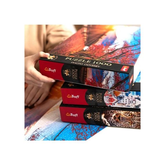 Пазл Trefl Premium Ейфелева вежа в Парижі, Франція 1000 елементів (5900511108156) | Зображення 4