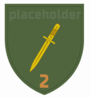 Шеврон 2 штурмовая рота