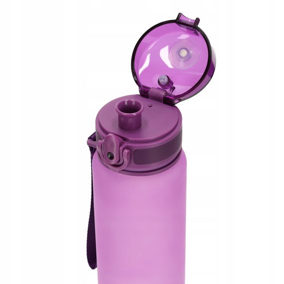 Пляшка для води спортивна 4FIZJO 650 мл Pink (P-5905973403757) | Зображення 1