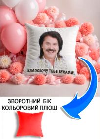 Подушка плюшева Мерч Крафт Дизайн з принтом Зібров 3 червоний плюш квадратна 33х33 см