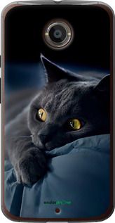 Чохол на Motorola Moto X2 Димчастий кіт "825u-372-2448"