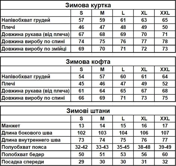 Комплект 3 в 1 куртка зимова + худі + штани Palm Angels RD028/RD030/RD282 | Зображення 9