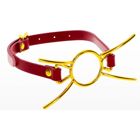 Кляп с кольцом Taboom Open Mouth Spider Gag sexstyle | Зображення 3