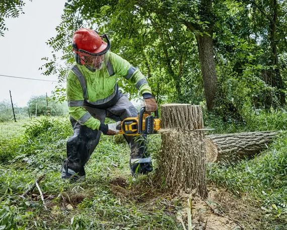 Акумуляторна пилка DeWalt без АКБ та ЗП DCMCS574N | Зображення 3
