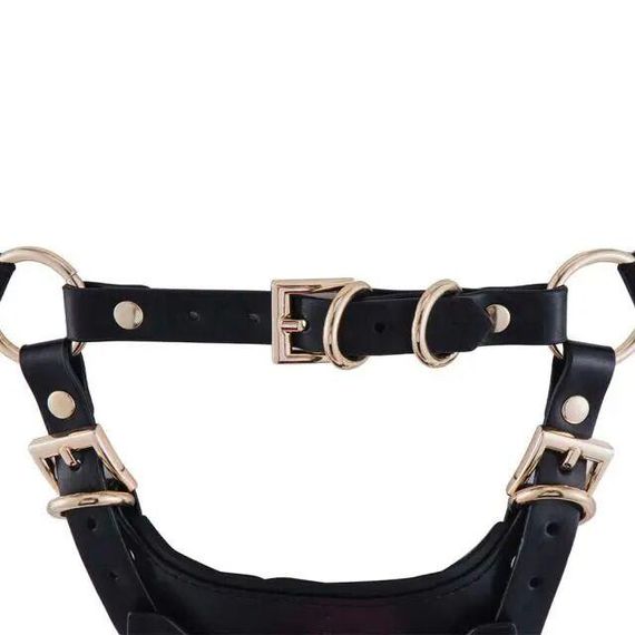 Сбруя зі страпоном LOCKINK SEVANDA Queen Sheba Set with Pink Dildo Sex Aura | Зображення 4