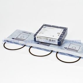 Кольца поршневые STD Fiat Doblo 1.6 i, KS, 800121710000,