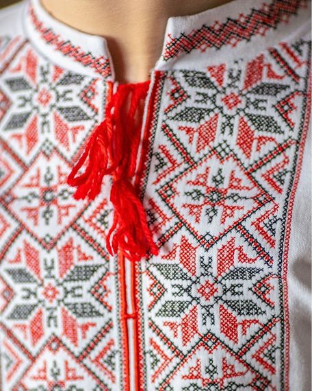Вишиванка для хлопчика з довгим рукавом Носи своє 98 Білий (p-11939-132069) | Зображення 6