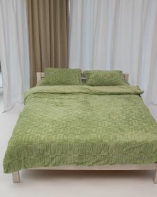 Постільна білизна плюшева євро Dushka Home 20729 200х220 см фісташкова