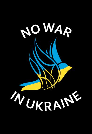 Футболка жіноча чорна з принтом "Жовто-блакитний птах", L | Зображення 1