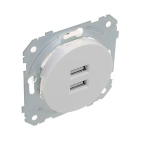Розетка белая WB-2USB wh