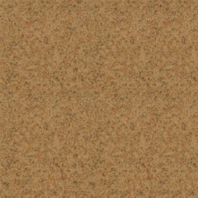 Лінолеум Grabo Top Extra 4546-263  ширина 4 м
