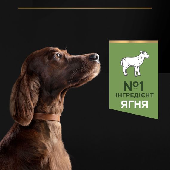 Сухой корм для крупных собак с ягненком Purina Pro Plan Large Athletic Sensitive Digestion 14 кг | Зображення 3