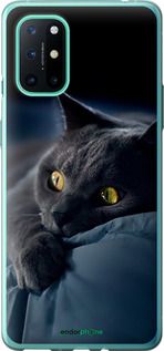 Чохол на OnePlus 8T Димчастий кіт "825u-2113-2448"