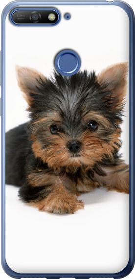 Чехол на Huawei Honor 7C Щенок йоркширского терьера "931u-1411-17620"