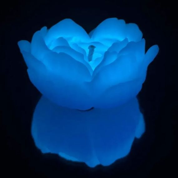Низькотемпературна БДСМ-свічка у формі троянди GlowKink, люмінесцентна, L, 62 г, блакитна Sex Aura