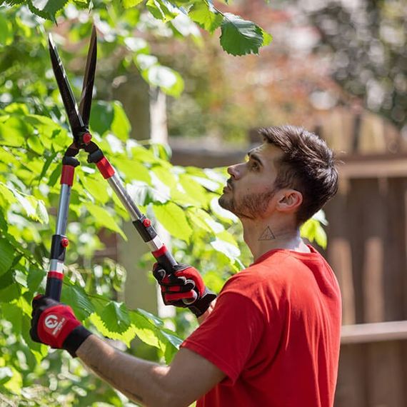 Ножиці для обрізання гілок з телескопічними ручками INTERTOOL FT-11171 | Зображення 7