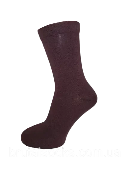 Високі шкарпетки жіночі однотонні ТМ Twinsocks 25 / M / 38-40, Коричневий