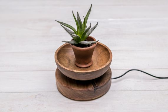 Летающий вазон для растений EcoWalnut с логотипом | Зображення 4