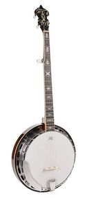 Банджо блюграс Richwood RMB-905