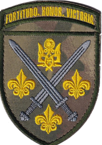 Шеврон 155 бригада