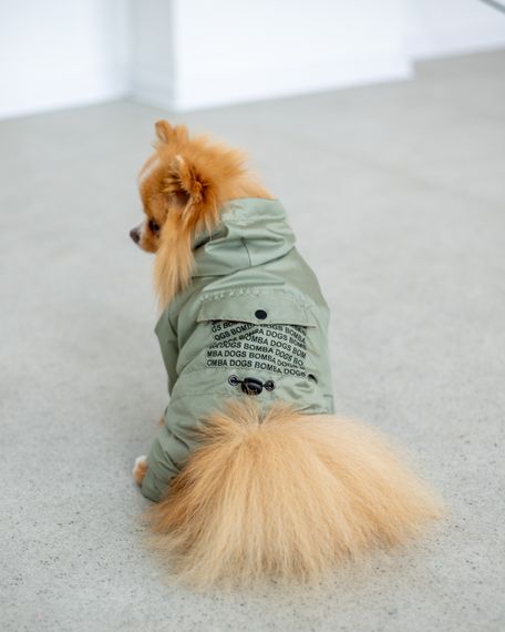 Дощовик DB кишеня оливковий M-68 | Зображення 1