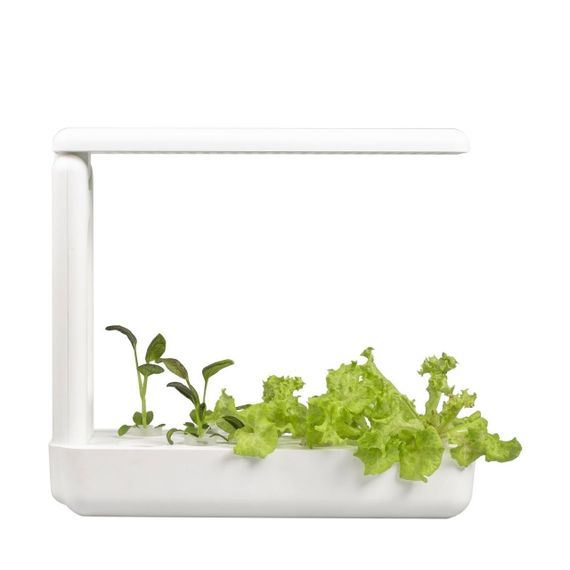 Vegebox™ by BioChef - Kitchen Box - набір садовий для гідропоніки