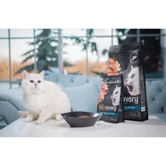 Сухий корм Savory для кошенят, індичка та курка 400г | Зображення 4