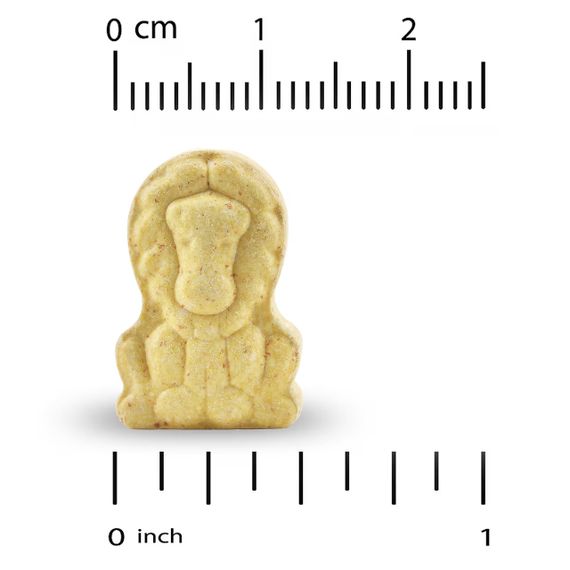 Мультивітаміни з пробіотиками та ферментами для дітей, Multivitamins with Probiotics & Enzymes, California Gold Nutrition, з | Зображення 3