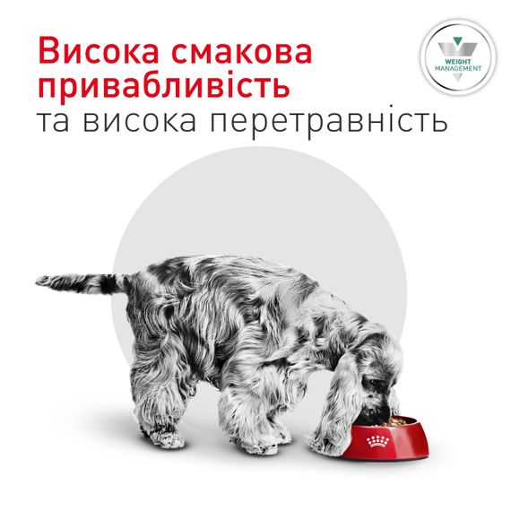 Сухий корм для собак малих порід при цукровому діабеті Royal Canin Glycobalance Small Dog, 1.5 кг | Зображення 3