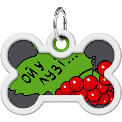 Адресник для животных WAUDOG Smart ID с QR паспортом "Калина", кость 40х28 мм (0640-0228) | Зображення 1