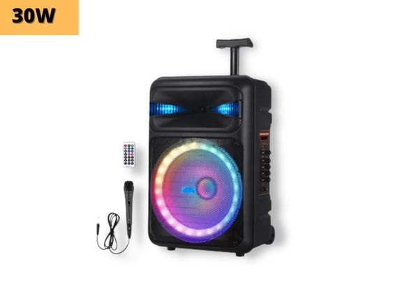 Портативная колонка XPRO GZ-Q12 чемодан  30Вт, USB, SD, FM радио, Bluetooth, 1 микрофон, ДУ (MER-15682) | Зображення 1