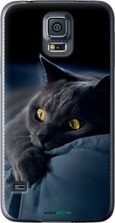 Чохол на Samsung Galaxy S5 g900h Димчастий кіт "825u-24-2448"