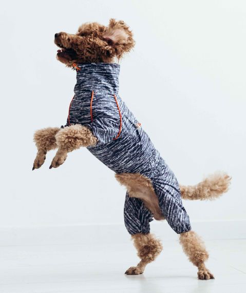 Дощовик кант рябий M-101 | Зображення 1