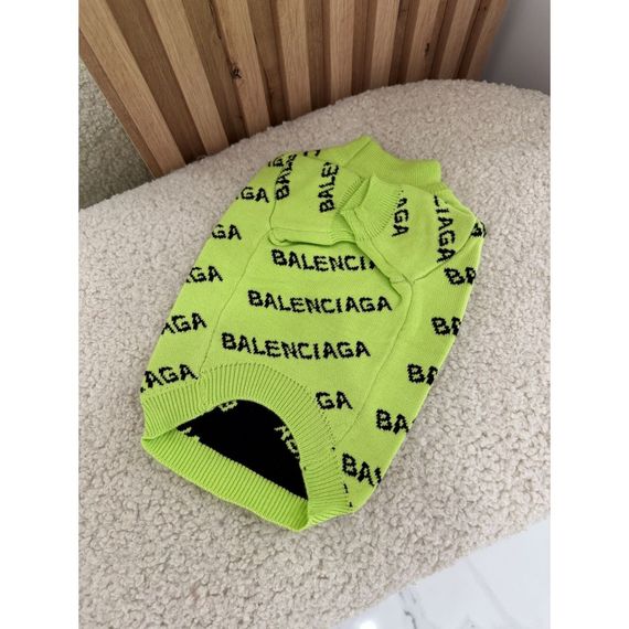 Брендовый свитер для собак Balenciaga двухслойная вязка, с надписями по бокам, зеленый | Зображення 1
