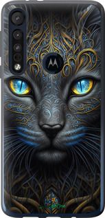 Чохол на Motorola One Macro Кішка "5548u-1812-2448"