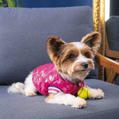 Бомбер Pet Fashion «Grace» для собак, розмір M, рожевий | Зображення 3