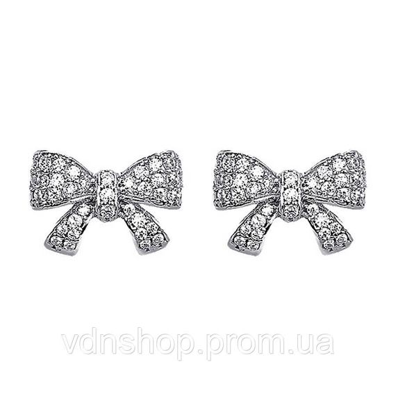 Сережки Biojoux сталь, Сережки для вуха медична сталь, Прикраси з медичної сталі Стильні модні YW-34 | Зображення 2