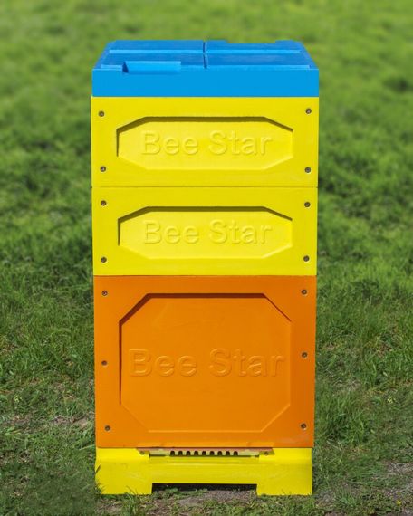 Вулик ППУ “BeeStar” (1 корпус Дадан 300 мм + 2 магазини на 8 рамок) – кольоровий | Зображення 1