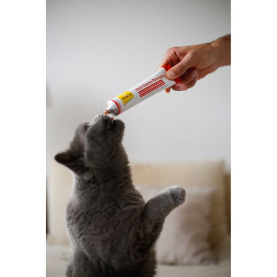 Вітаміни GimCat Every Day Extra мультивітамінна паста для котів для покращення імунітета 100 г | Зображення 4