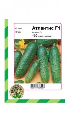 Огірок Атлантис F1 100 насінин Агропакгруп