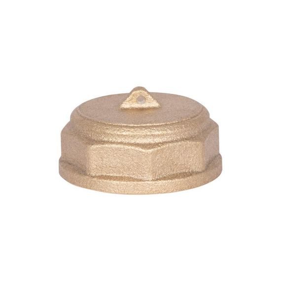 Заглушка Thermo Alliance Standart 1" ВР SD40225 | Зображення 4