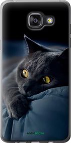 Чохол на Samsung Galaxy A5 (2016) A510F Димчастий кіт "825u-158-2448"