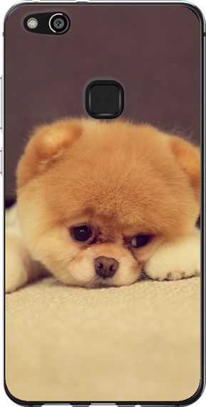 Чехол на Huawei P10 Lite Boo 2 "890u-896-17620"