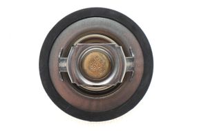 Термостат Ford Fiesta Escort 1.1-1.3i 86-03 200-92JK