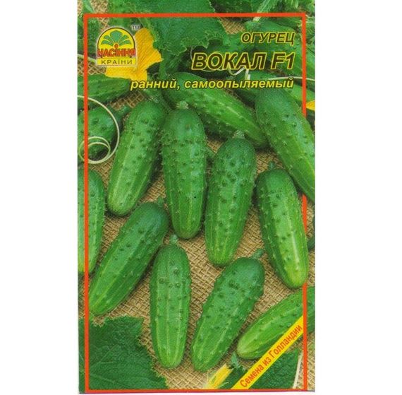 Насіння огірка Вокал F1 5 шт.