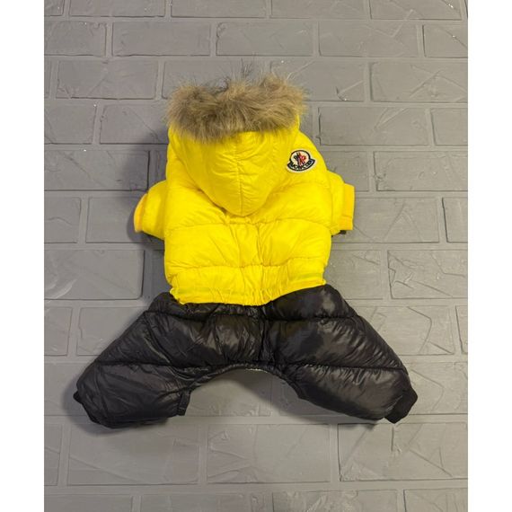 Брендовый зимний комбинезон для собак MONCLER , желтый | Зображення 2